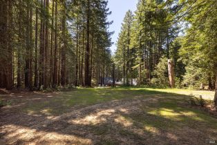 Single Family Residence, Joy Ridge road, Occidental, CA 95465 - 70