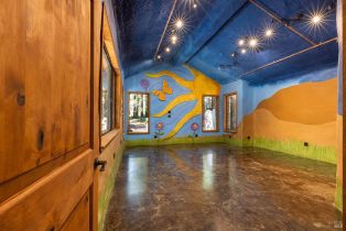 Single Family Residence, Joy Ridge road, Occidental, CA 95465 - 32