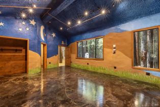Single Family Residence, Joy Ridge road, Occidental, CA 95465 - 31
