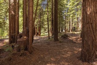 Single Family Residence, Joy Ridge road, Occidental, CA 95465 - 72