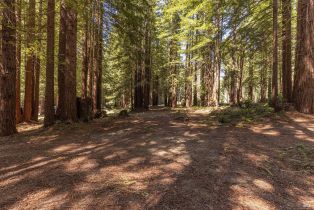 Single Family Residence, Joy Ridge road, Occidental, CA 95465 - 73