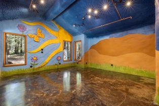 Single Family Residence, Joy Ridge road, Occidental, CA 95465 - 29