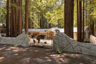 Single Family Residence, Joy Ridge road, Occidental, CA 95465 - 74
