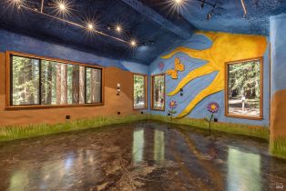 Single Family Residence, Joy Ridge road, Occidental, CA 95465 - 30