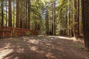 Single Family Residence, Joy Ridge road, Occidental, CA 95465 - 69