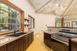Single Family Residence, Joy Ridge road, Occidental, CA 95465 - 14