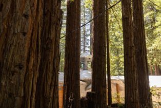 Single Family Residence, Joy Ridge road, Occidental, CA 95465 - 68