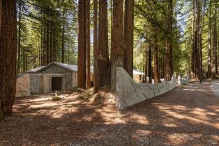 Single Family Residence, Joy Ridge road, Occidental, CA 95465 - 44