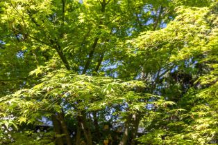 Single Family Residence, Deerfield lane, Petaluma, CA 94952 - 59