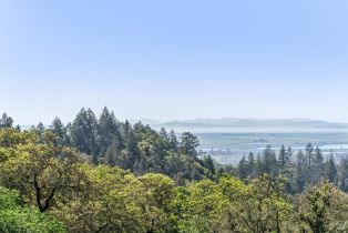 Residential Acreage,  Desnudos way, Sonoma, CA 95476 - 17