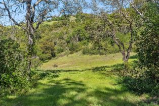 Residential Acreage,  Desnudos way, Sonoma, CA 95476 - 9