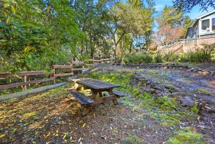 Single Family Residence,  Fiori lane, Sebastopol, CA 95472 - 80