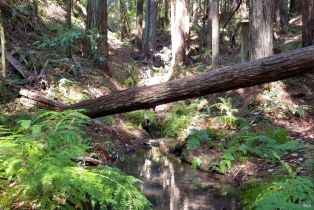Single Family Residence,  Fiori lane, Sebastopol, CA 95472 - 85