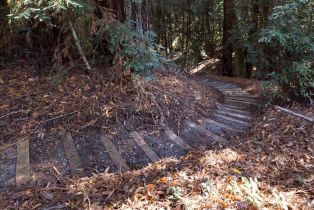 Single Family Residence,  Fiori lane, Sebastopol, CA 95472 - 83