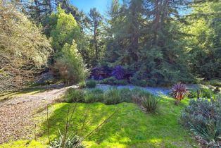 Single Family Residence,  Fiori lane, Sebastopol, CA 95472 - 4
