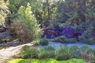 Single Family Residence,  Fiori lane, Sebastopol, CA 95472 - 5