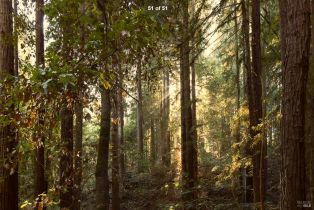 Single Family Residence,  Fiori lane, Sebastopol, CA 95472 - 86