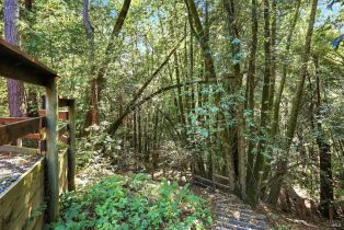 Single Family Residence,  Fiori lane, Sebastopol, CA 95472 - 81