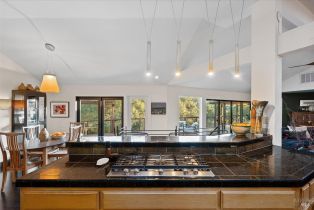 Single Family Residence, Siesta way, Sonoma, CA 95476 - 13