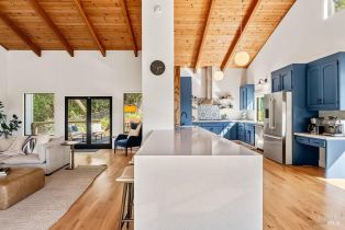 Single Family Residence,  Valley View drive, Healdsburg, CA 95448 - 3