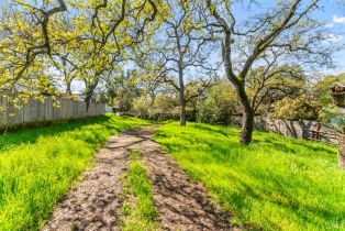Residential Lot,  1st avenue, Sonoma, CA 95476 - 8