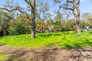 Residential Lot,  1st avenue, Sonoma, CA 95476 - 4