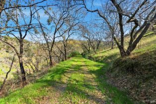 Residential Acreage,  Leslie road, Healdsburg, CA 95448 - 12