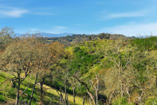 Residential Acreage,  Leslie road, Healdsburg, CA 95448 - 25