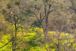 Residential Acreage,  Leslie road, Healdsburg, CA 95448 - 21