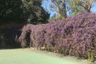 Single Family Residence,  Brush Creek road, Santa Rosa, CA 95404 - 84