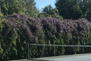 Single Family Residence,  Brush Creek road, Santa Rosa, CA 95404 - 85