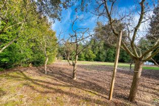 Single Family Residence,  Brush Creek road, Santa Rosa, CA 95404 - 65