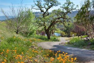 Residential Acreage, 4522 Wallace road, Santa Rosa, CA 95404 - 6