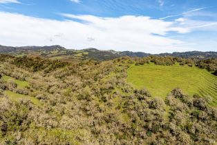Single Family Residence,  Warm Springs road, Glen Ellen, CA 95442 - 36