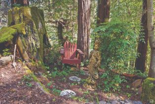 Single Family Residence,  Middle terrace, Russian River, CA 95462 - 41