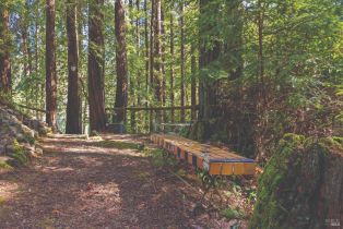 Single Family Residence,  Middle terrace, Russian River, CA 95462 - 40