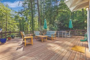 Single Family Residence,  Middle terrace, Russian River, CA 95462 - 43