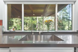 Single Family Residence,  Middle terrace, Russian River, CA 95462 - 20