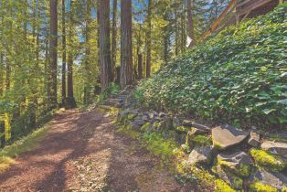 Single Family Residence,  Middle terrace, Russian River, CA 95462 - 37