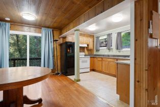 Single Family Residence,  Terrace drive, Russian River, CA 95436 - 29