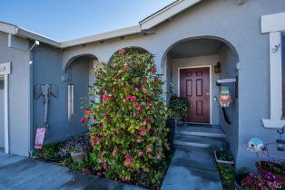 Single Family Residence,  Lauren drive, Petaluma, CA 94954 - 2