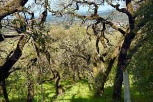 Residential Lot,  Holland drive, Santa Rosa, CA 95404 - 5