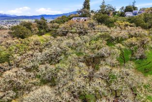 Residential Lot,  Holland drive, Santa Rosa, CA 95404 - 17