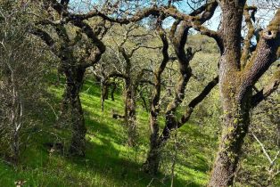 Residential Lot,  Holland drive, Santa Rosa, CA 95404 - 4