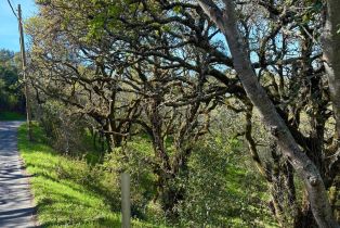 Residential Lot,  Holland drive, Santa Rosa, CA 95404 - 7