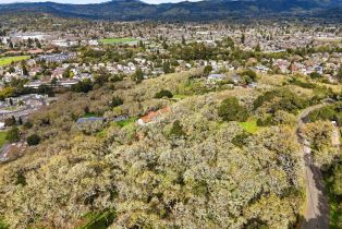 Residential Lot,  Holland drive, Santa Rosa, CA 95404 - 10