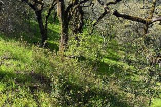 Residential Lot,  Holland drive, Santa Rosa, CA 95404 - 3