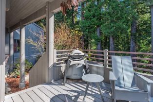 Single Family Residence,  Larkspur Close none, Sea Ranch, CA 95497 - 22