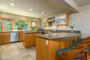 Single Family Residence,  Larkspur Close none, Sea Ranch, CA 95497 - 11