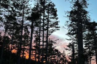 Single Family Residence,  Larkspur Close none, Sea Ranch, CA 95497 - 34